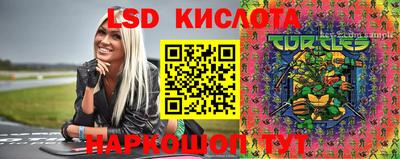 apvp Краснодар