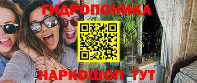 apvp Краснодар