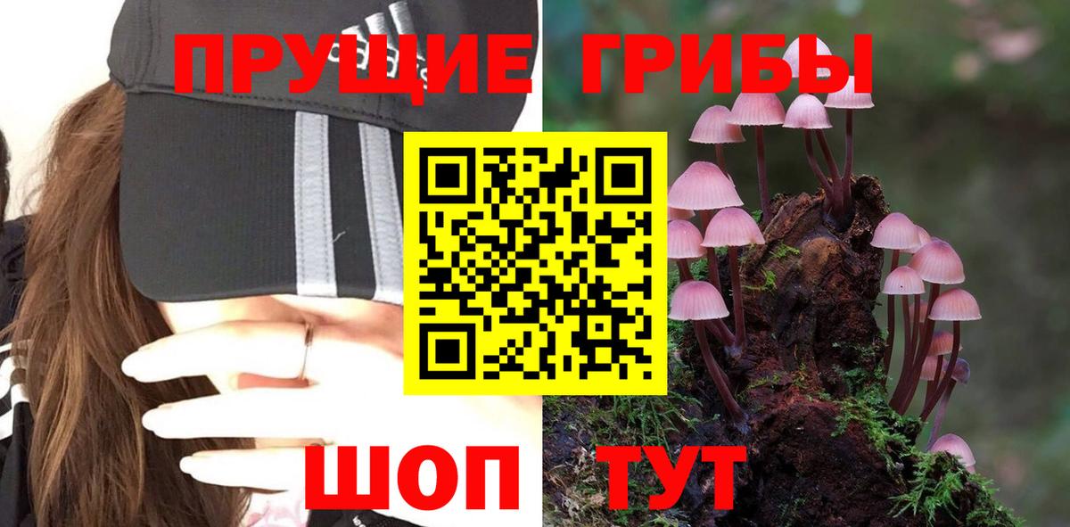 Трёхгорный  Галлюциногенные грибы мицелий  Вход с VPN 